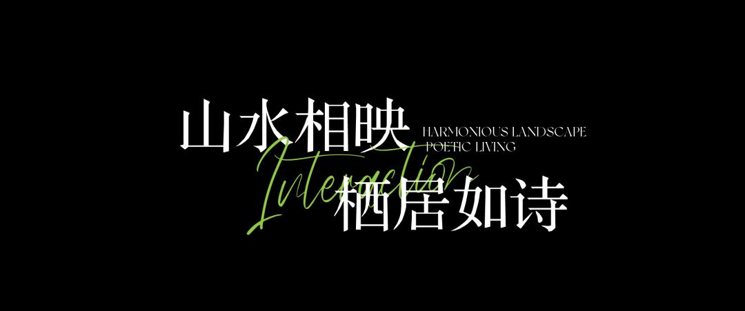 1744249182240845.jpg 1744249109578.jpg