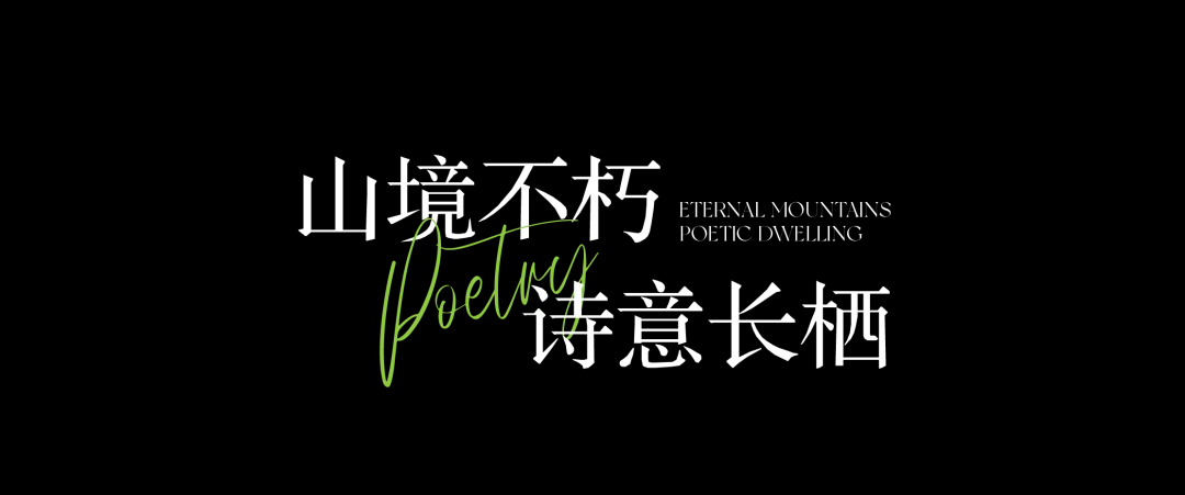 1744249552172645.jpg 1744249529222.jpg